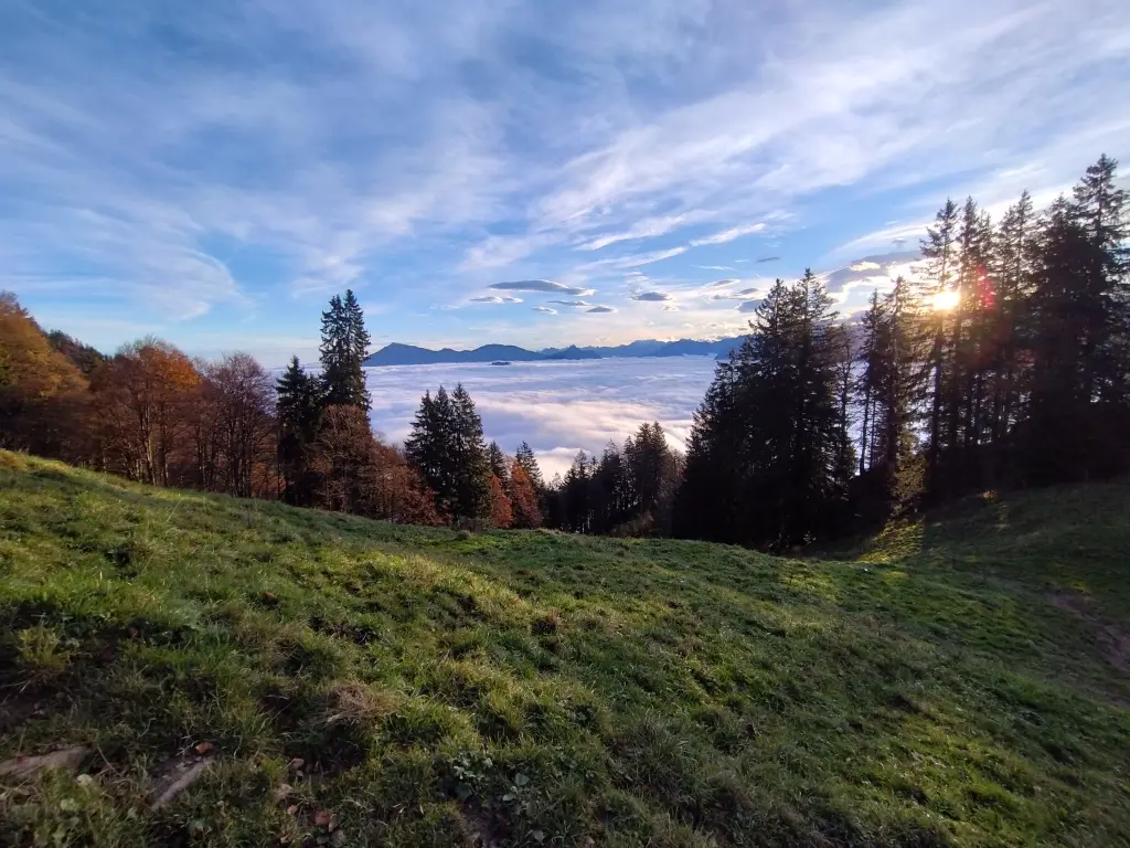 Wanderung - Pfad